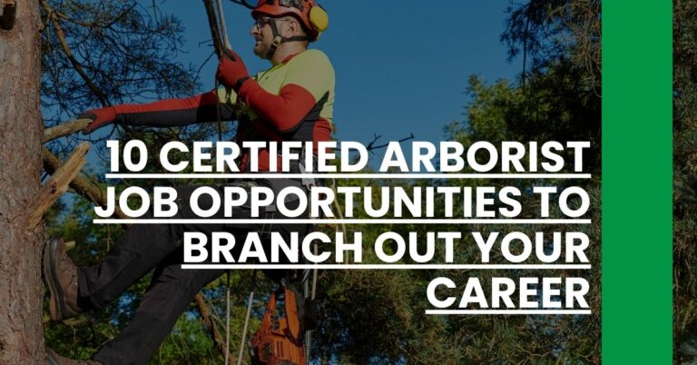 10 Certified Arborist Job Opportunities to Branch Out Your Career