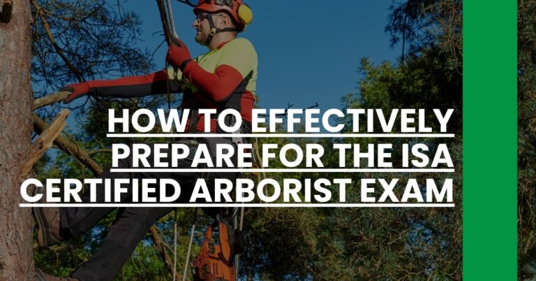 How to Effectively Prepare for the ISA Certified Arborist Exam Feature Image