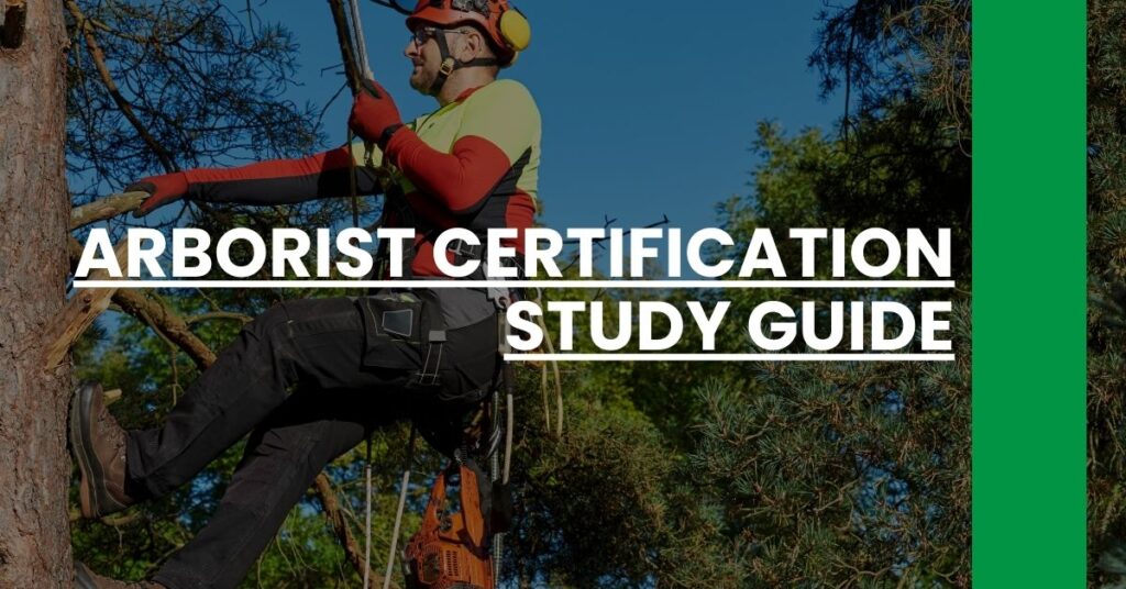 arborist certification study guide Feature Image