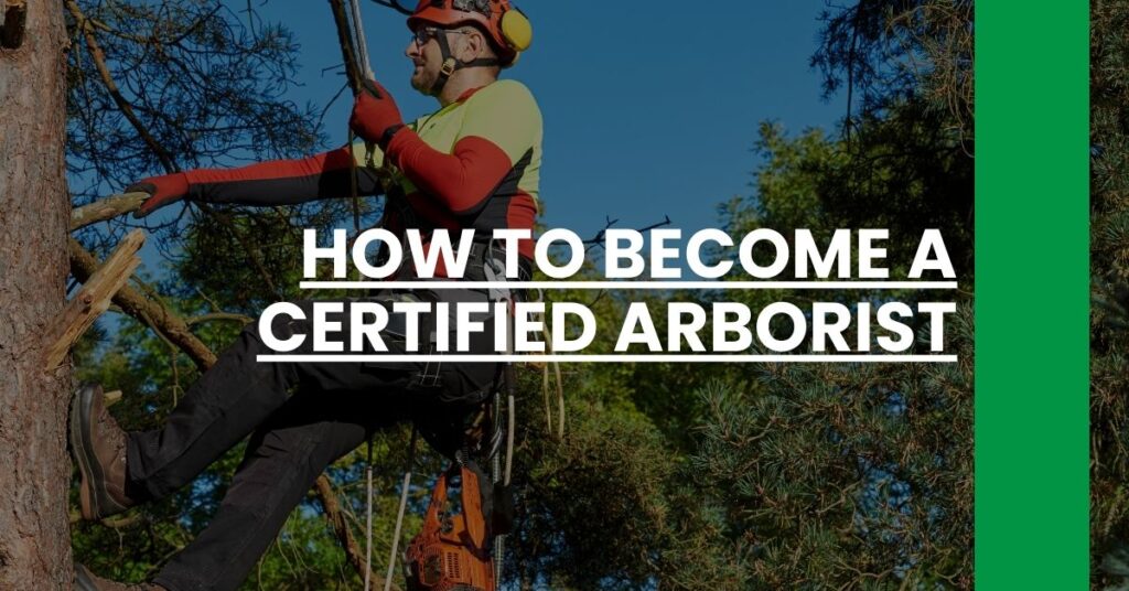 how to become a certified arborist Feature Image