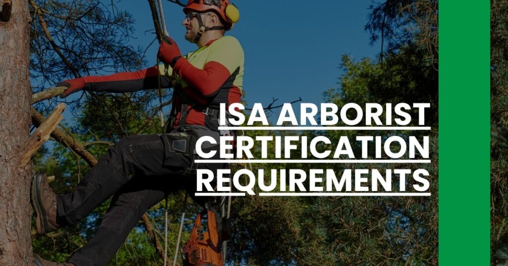 isa arborist certification requirements Feature Image