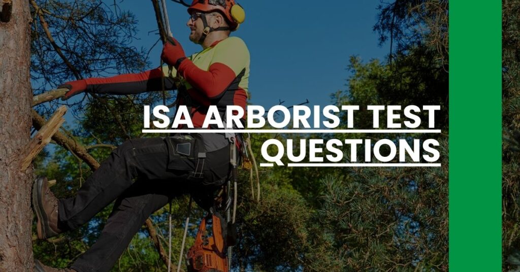 isa arborist test questions Feature Image